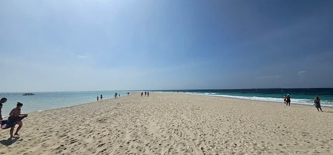Zanzibar: Prison Island and Nakupenda Tour with Seafood BBQ from Uroa and Kiwengwa