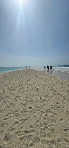 Zanzibar: Prison Island and Nakupenda Tour with Seafood BBQ from Uroa and Kiwengwa