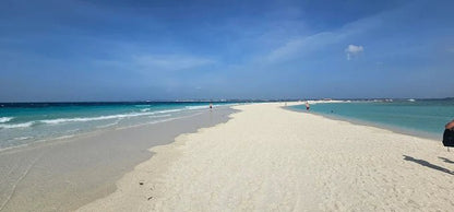 Zanzibar: Prison Island and Nakupenda Tour with Seafood BBQ from Uroa and Kiwengwa