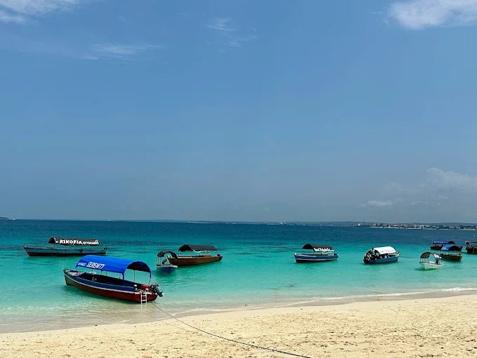 Zanzibar: Prison Island and Nakupenda Tour with Seafood BBQ from Uroa and Kiwengwa