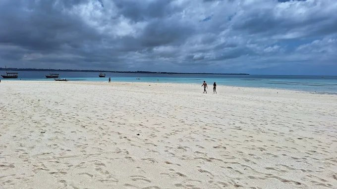 Zanzibar: Prison Island and Nakupenda Tour with Seafood BBQ from Uroa and Kiwengwa