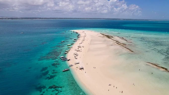 Zanzibar: Prison Island and Nakupenda Tour with Seafood BBQ from Uroa and Kiwengwa