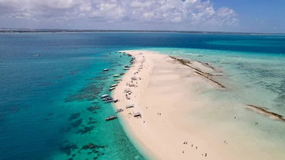 Zanzibar: Prison Island and Nakupenda Tour with Seafood BBQ from Uroa and Kiwengwa