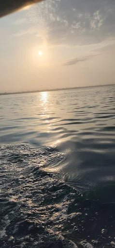 Zanzibar: Prison Island and Nakupenda Tour with Seafood BBQ from Uroa and Kiwengwa