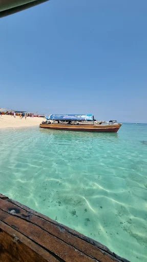 Zanzibar: Prison Island and Nakupenda Tour with Seafood BBQ from Uroa and Kiwengwa