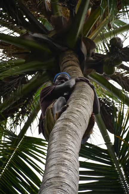 Zanzibar: Prison Island and Spice Farm Guided Half - Day Tour