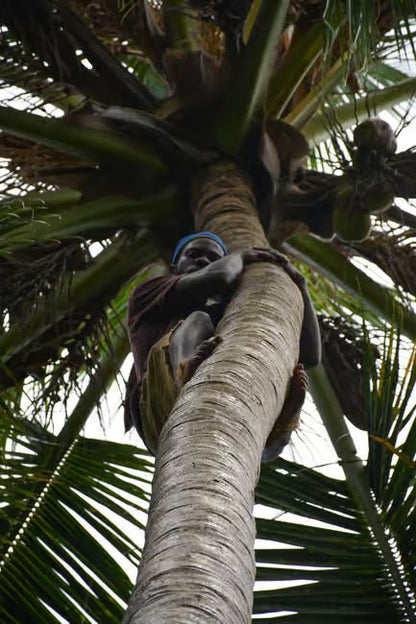 Zanzibar: Prison Island and Spice Farm Guided Half - Day Tour