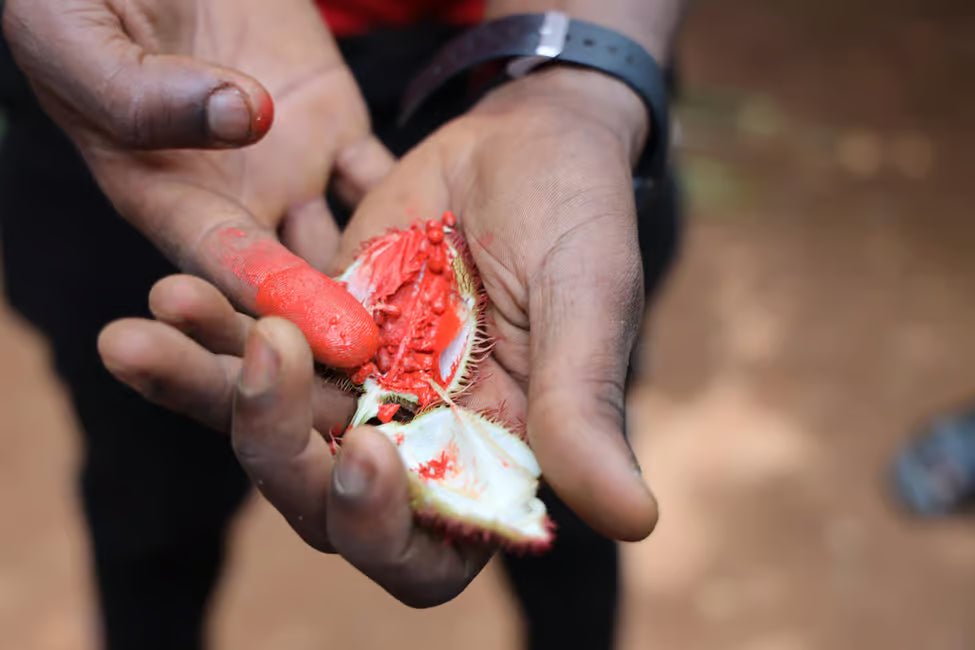 Zanzibar: Prison Island and Spice Farm Guided Half - Day Tour