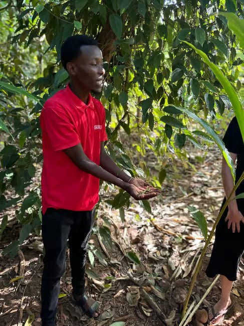 Zanzibar: Prison Island and Spice Farm Guided Half - Day Tour