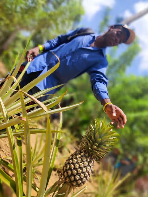 Zanzibar: Prison Island and Spice Farm Guided Half - Day Tour