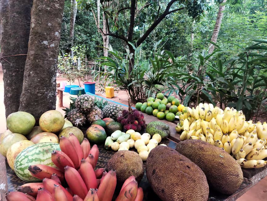Zanzibar: Prison Island and Spice Farm Guided Half - Day Tour