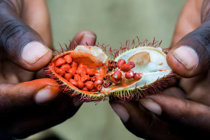 Zanzibar: Prison Island and Spice Farm Guided Half - Day Tour