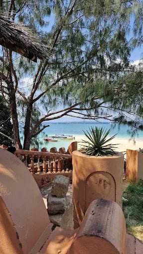 Zanzibar: Prison Island Private Half - Day Tour with Tortoise Sanctuary Visit