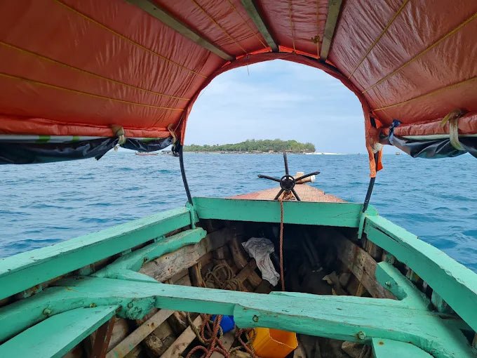 Zanzibar: Prison Island Private Half - Day Tour with Tortoise Sanctuary Visit