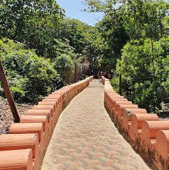 Zanzibar: Prison Island Snorkeling Tour and See Giant Tortoises