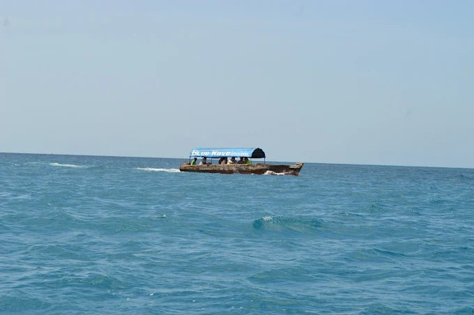 Zanzibar: Prison Island Snorkeling Tour and See Giant Tortoises