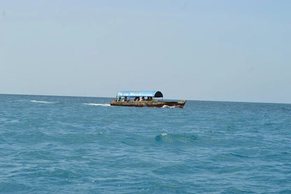 Zanzibar: Prison Island Snorkeling Tour and See Giant Tortoises
