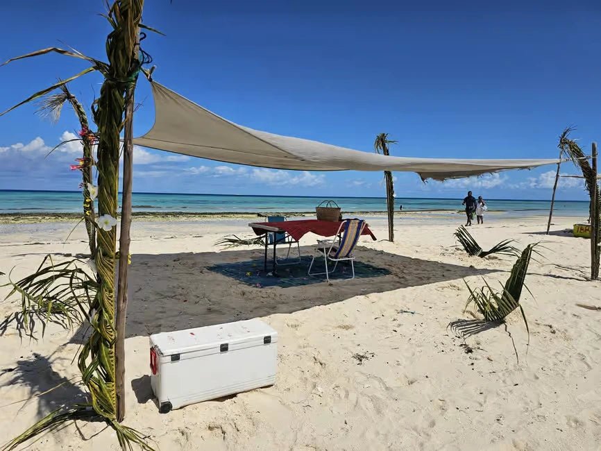 Zanzibar: Prison Island Tour with Nakupenda Sandbank BBQ Lunch