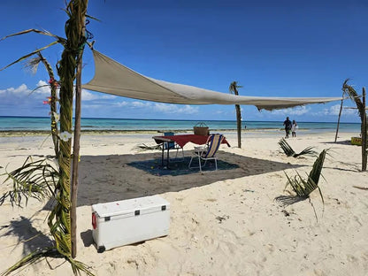 Zanzibar: Prison Island Tour with Nakupenda Sandbank BBQ Lunch