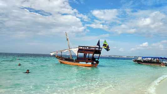 Zanzibar: Prison Island Tour with Nakupenda Sandbank BBQ Lunch