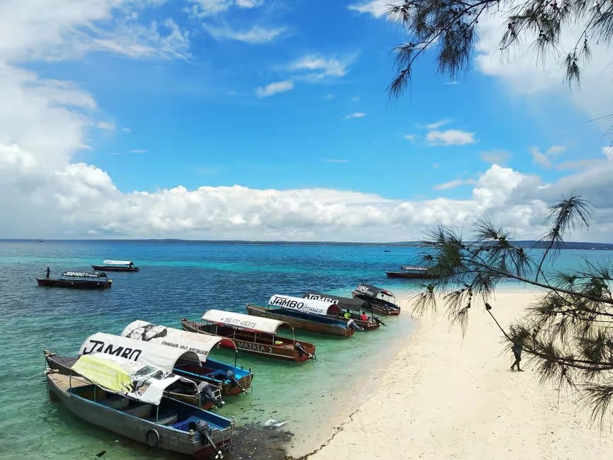 Zanzibar: Prison Island Tour with Nakupenda Sandbank BBQ Lunch