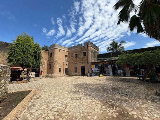 Zanzibar: Private 3 - Hour Stone Town Walking Tour