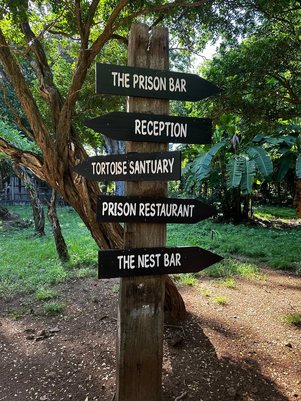 Zanzibar: Private 3 - Hour Stone Town Walking Tour