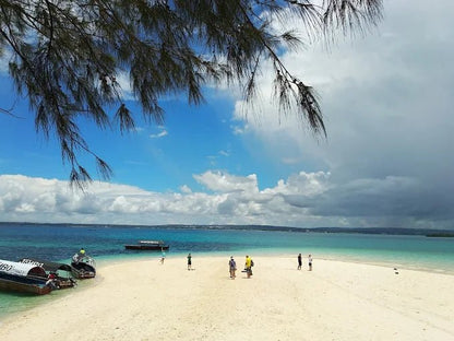 Zanzibar: Private Dolphin Watching and Snorkeling Boat Tour at Matemwe or Kizimkazi