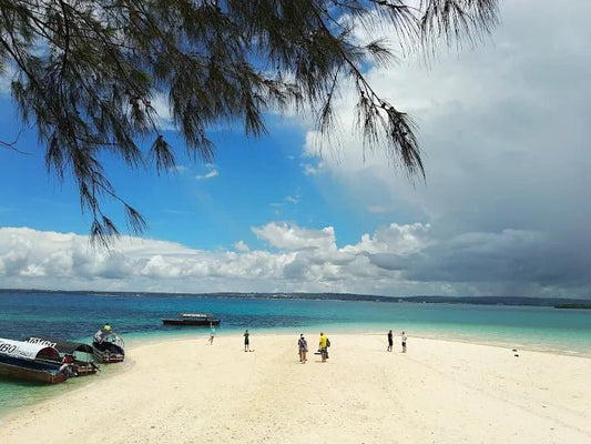 Zanzibar: Private Dolphin Watching and Snorkeling Boat Tour at Matemwe or Kizimkazi