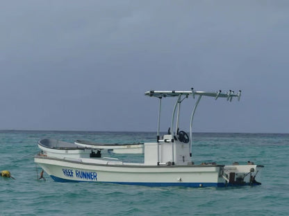 Zanzibar: Private Dolphin Watching and Snorkeling Boat Tour at Matemwe or Kizimkazi