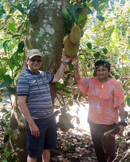 Zanzibar: Private Guided Spice Farm and Stone Town Walking Tour