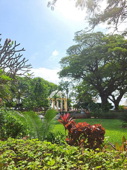 Zanzibar: Private Guided Walking Tour of Stone Town