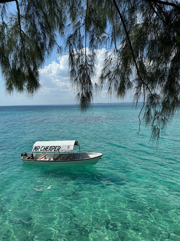 Zanzibar: Private Guided Walking Tour of Stone Town