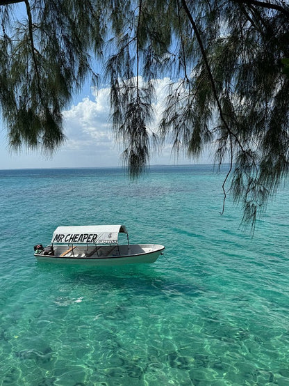 Zanzibar: Private Guided Walking Tour of Stone Town