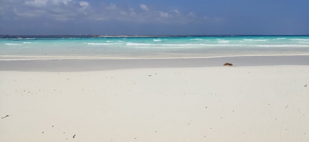 Zanzibar: Private Mnemba Island Snorkeling Tour with Hotel Pickup