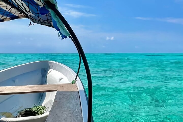 Zanzibar: Private Mnemba Island Snorkeling Tour with Hotel Pickup