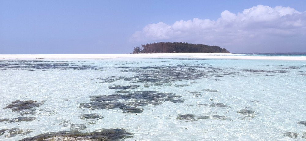 Zanzibar: Private Mnemba Island Snorkeling Tour with Hotel Pickup