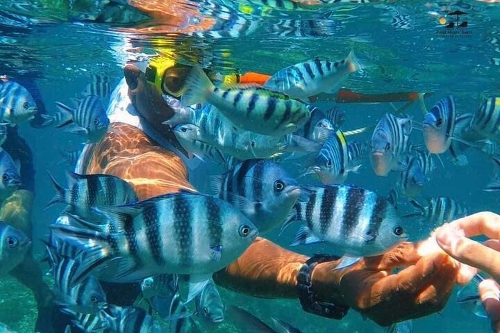 Zanzibar: Private Mnemba Island Snorkeling Tour with Hotel Pickup