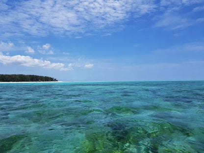 Zanzibar: Private Nakupenda Sandbank Boat Tour with Seafood Lunch for Couples