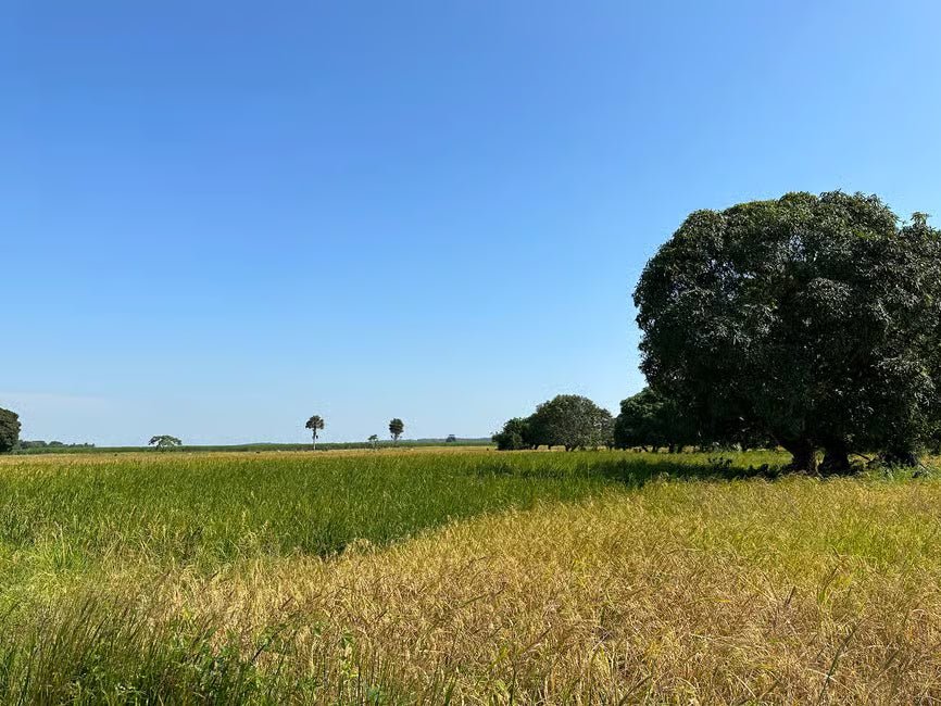 Zanzibar: Private Quad Biking Adventure through Villages and Plantations