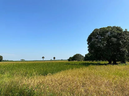 Zanzibar: Private Quad Biking Adventure through Villages and Plantations