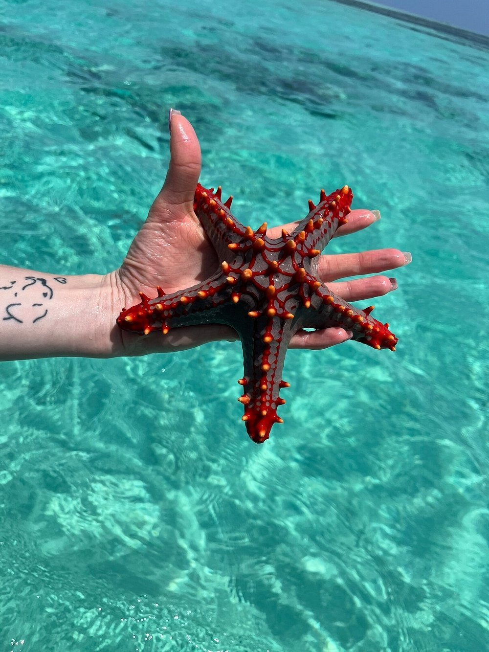 Zanzibar: Private Snorkeling Trip to Tumbatu Island from Nungwi or Kendwa