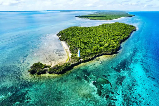 Zanzibar: Private Snorkeling Trip to Tumbatu Island from Nungwi or Kendwa
