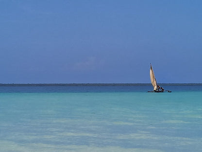 Zanzibar: Private Snorkeling Trip to Tumbatu Island from Nungwi or Kendwa