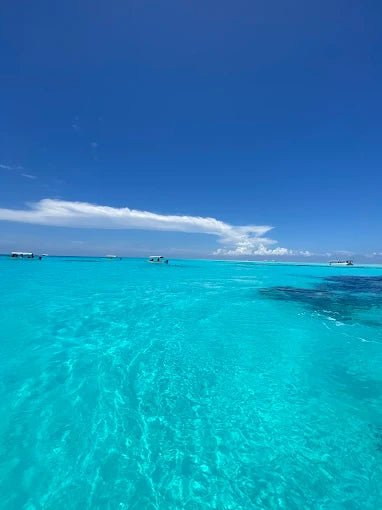 Zanzibar: Private Snorkeling with Dolphins Tour at Mnemba Atoll with Sandbank Stop