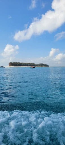 Zanzibar: Private Snorkeling with Dolphins Tour at Mnemba Atoll with Sandbank Stop