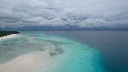 Zanzibar: Private Snorkeling with Dolphins Tour at Mnemba Atoll with Sandbank Stop