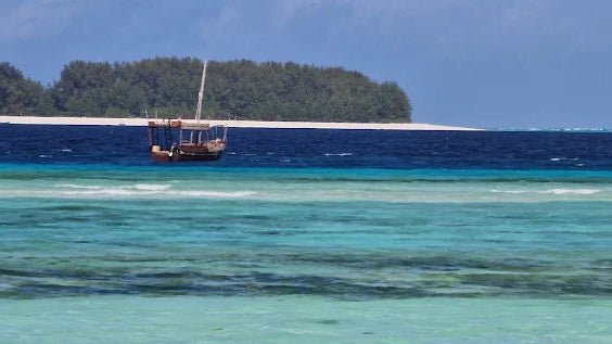 Zanzibar: Private Snorkeling with Dolphins Tour at Mnemba Atoll with Sandbank Stop