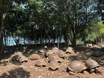 Zanzibar: Private Tour of Stone Town, Peace Memorial Museum and Nakupenda Beach