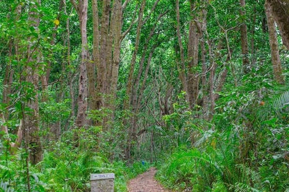 Zanzibar: Private Tour to Jozani Forest and Spice Farm